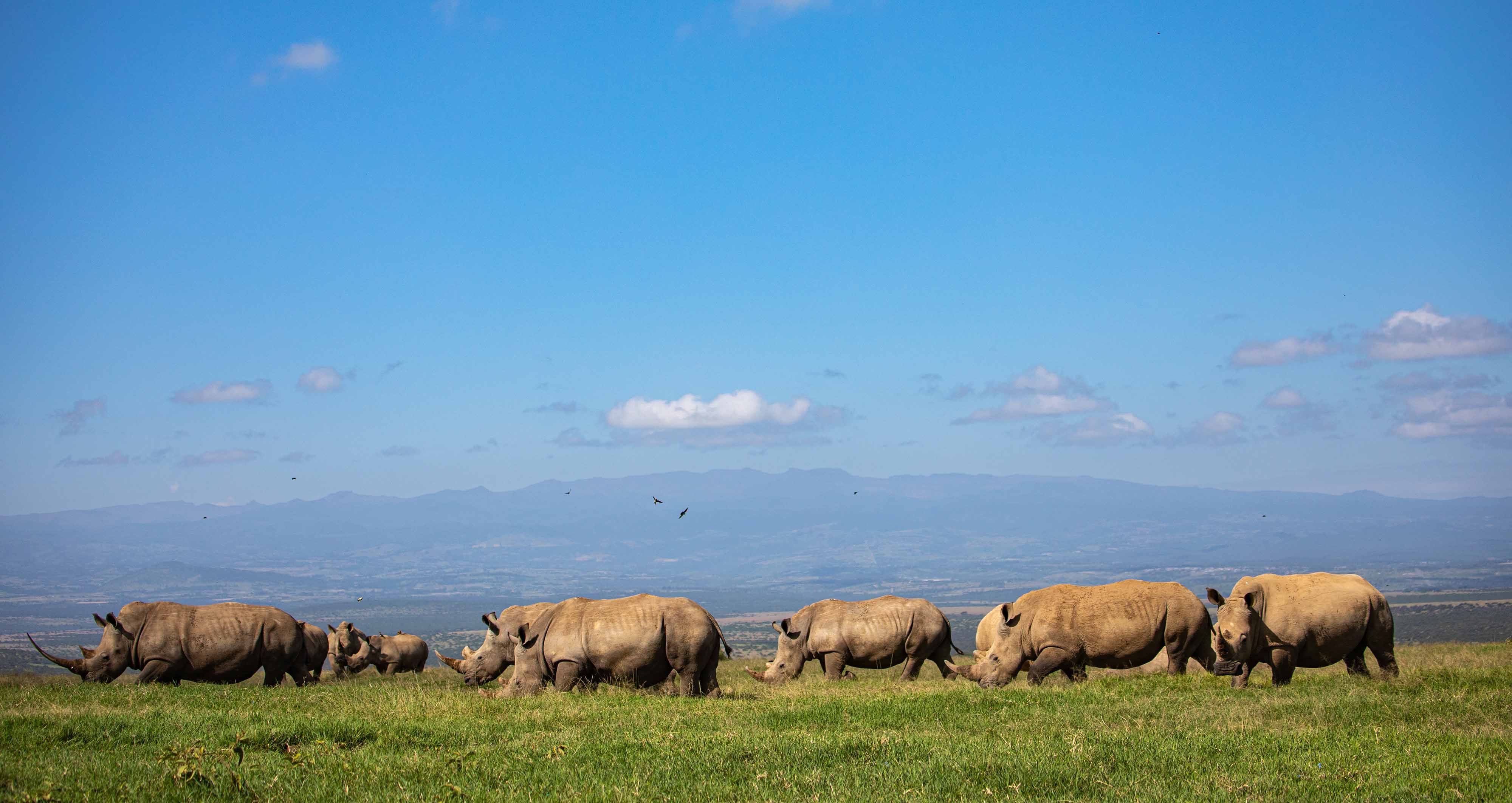 Our Values — community and nature